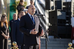 Изображение 1101