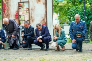 Изображение 31492
